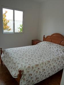 a bed in a bedroom with a window at Ze Carlos Simoes in Mira