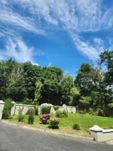 a garden with flowers on the side of a road at The Lodge in Killarney