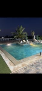 a swimming pool at night with palm trees and chairs at Dar amiratou in Djerba