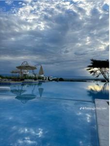 a swimming pool with blue water and an umbrella at Flamingo Bay in Nakuru