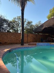 a swimming pool with a palm tree in a yard at Tsheryl's Residence in Centurion