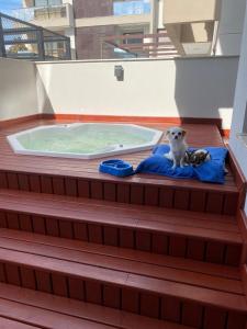 Gallery image of Apartamento Oasis do Atlantico HomeClub Palmas com Jacuzzi e Piscina in Governador Celso Ramos