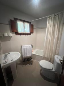 a bathroom with a white toilet and a sink at Apartamentos La Guergola in Pola de Somiedo +59 photos