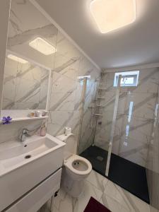 a white bathroom with a toilet and a sink at Apartmány KK in Chvalovice
