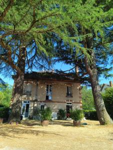 an old house with two trees in front of it at Le Clos St Justin Votre étape sur la route des vacances à 10 mn de Center Parc et Chambord in Ligny-le-Ribault