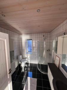 a bathroom with a glass shower and a toilet at Arctic Hostel Apartment in Qaqortoq +5 photos