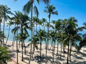 a group of palm trees on a beach at Enjoy Life Holidays in Andrés