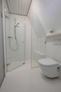 a white bathroom with a shower and a toilet at Ferienhäuser Campingplatz in Kinding +22 photos