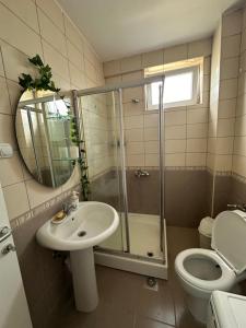 a bathroom with a shower and a sink and a toilet at Zen Apartment in Kumanovo