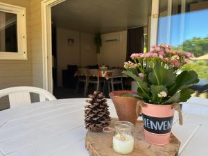 a table with flowers and a candle and a potted plant at CHALET 10 chaleureux tout confort dans domaine avec Piscine au cœur des Landes bord de Lac avec plage aménagée in Labouheyre
