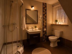 a bathroom with a toilet and a sink and a shower at Dworek w Karpaczu in Karpacz +15 photos