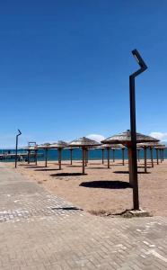 a row of umbrellas on a beach with the ocean at Alpha White in Koshkolʼ
