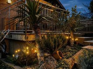 a garden with palm trees and lights in front of a building at Holiday home Damian in Zagreb