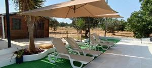 a group of chairs and an umbrella on a patio at Quinta Do Pinheirão in Coruche