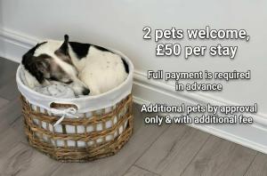 a dog sleeping in a basket on the floor at Maesteg Road - Large House - Sleeps 10 - Gateway to Afan Forest and Bike Trails in Dyffryn +41 photos