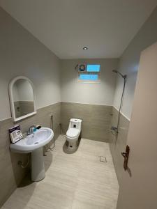a bathroom with a sink and a toilet at شقق درة القويعية in Al Quway‘īyah
