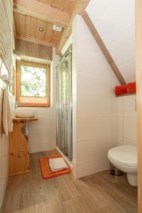 a bathroom with a shower and a toilet at Kirowy Domek I in Kościelisko +38 photos