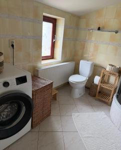 a bathroom with a washing machine and a toilet at House Pankraz Jitrava in Rynoltice +12 photos