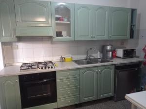 a kitchen with green cabinets and a stove and a sink at i giardini di Ailobran in Narbolia