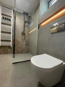a bathroom with a toilet and a shower at A Frame 2 Transalpina in Sebeş +53 photos