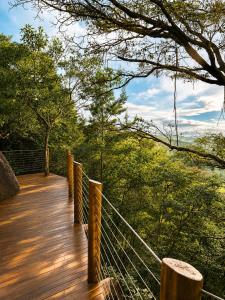 a wooden boardwalk in the middle of a forest at Chalé da Árvore - Refúgio das Videiras in Moeda