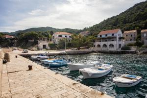 grupa łodzi zakotwiczona w porcie w obiekcie Guest House Hazdovac w mieście Kozarica +37 zdjęć