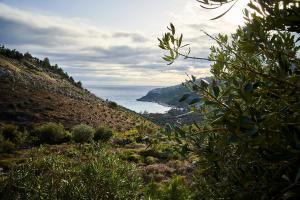 a view of the ocean from a hill at Billion Stars in Thymonia Beach +4 photos