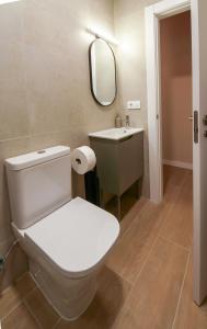 a bathroom with a white toilet and a sink at APARTAMENTOS PUENTEDEY in Puentedey