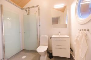 a bathroom with a toilet and a shower and a sink at Bygdsiljums Sjöbodar in Bygdsiljum