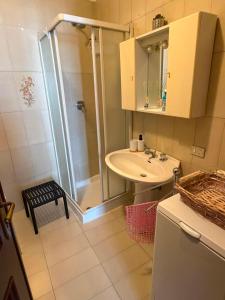 a bathroom with a shower and a sink at Cottage di Lola in Fonteno