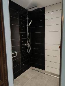 a bathroom with a shower with black tiles at Petite pom in Azay-le-Rideau +12 photos