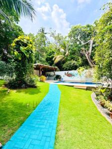 a garden with a blue pathway at Palmare House in San Andrés