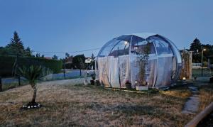 a dome tent with a tree in a yard at Cocoon Reflex'Ô in Escurolles