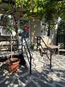 a potted tree in a pot next to a table and chairs at Heart of Mtskheta Studio Apartment in Mtskheta
