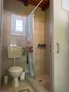 a bathroom with a toilet and a shower at The Beach House in Vasilika +3 photos