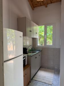 a kitchen with a white refrigerator and a sink at The Beach House in Vasilika