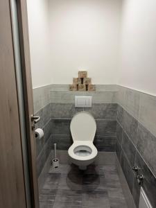 a bathroom with a white toilet in a room at Apartman VIKY in Bartovice