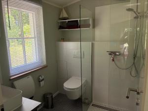 a bathroom with a toilet and a glass shower at Ferienhaus Himmelblau in Waldsieversdorf