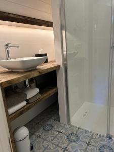 a bathroom with a sink and a glass shower at Stee 23 in Hertsberge +136 photos