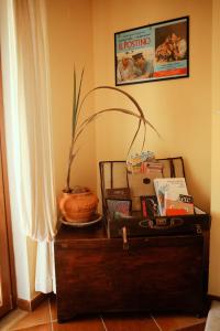 a table with a potted plant on top of it at Bed & Breakfast Spigolatrice in Sapri