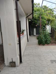 an empty courtyard of a building with plants at Casa Vio in Eforie Nord