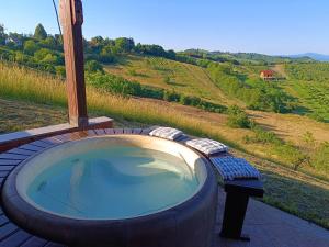 ein Whirlpool mit Blick auf einen Hügel in der Unterkunft Sweet Dalia in Molvice