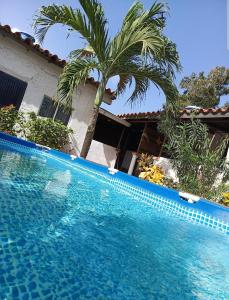 a swimming pool in front of a house with a palm tree at Toucherit Standar in La Mira