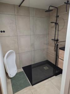 a shower with a toilet in a bathroom at L oasis de Détente - le Cocon - gîte 4 personnes avec 1h d accès à la piscine privée et terrasse aménagée par nuit réservée - climatisation - à 2km de Pairi Daiza in Brugelette +4 photos
