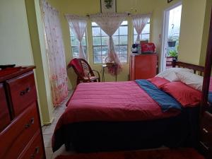 a bedroom with a bed and a dresser and windows at PeachBloom Terrace Inn in Saint Georgeʼs