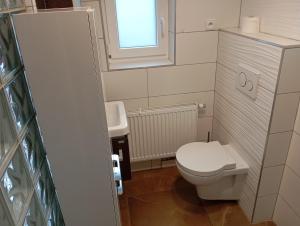 a small bathroom with a toilet and a window at apartmandomazlice in Domažlice