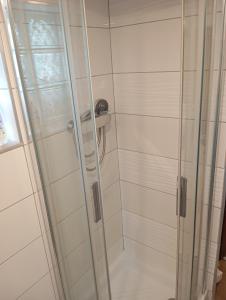 a shower with a glass door in a bathroom at apartmandomazlice in Domažlice