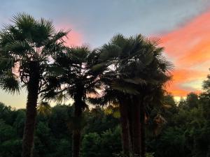 two palm trees in front of a sunset at Oasi del Silenzio a Piea in Piea