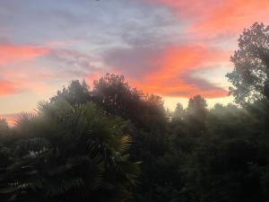 a sunset over a group of trees in a forest at Oasi del Silenzio a Piea in Piea