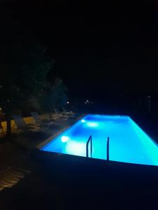 a large blue swimming pool at night at Apartman Maga 2 in Gnjilišta
